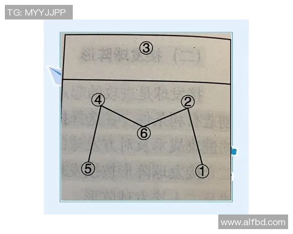 深入分析上海排球队的进攻策略与战术特点探讨
